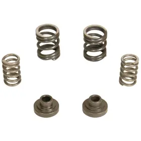 Bd Diesel 1040187 For Governor Spring Kit 3000rpm - 1994-1998 Dodge 12-valve/p7100 Pump
