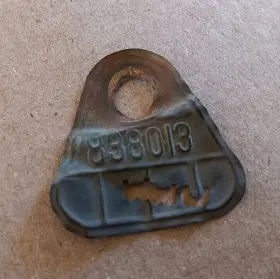 Chevrolet 838013 36 1936 Chevy Master Brass Carburetor Tag Carter W-1 319s W1