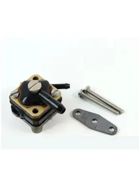 Evinrude Johnson Btnfvdjq 100563 23 Fuel Pump For Outboard Engines E10elctc E10rctc E10rctr E10rlctc