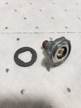 Ford 2-4325 Napa Echlin Holley Power Valve 1979-1983 New Nos