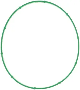 G31844 Mahle Fuel Injection Throttle Body Mounting Gasket