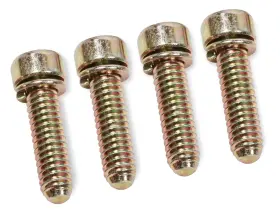Quick Fuel Technology 849804012815 5-2qft Accelerator Pump Cover Screws