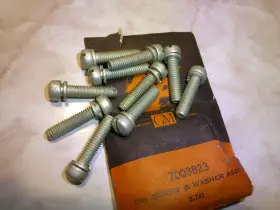 7003823 Rochester Nos Carburetor Air Horn Screws 1932-1952 Chevrolet With 6 Cyl