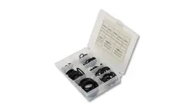 Vibrant Performance 20999 O-ring Assortment - 10 Each 3an To 16 An Viton Set Of 80
