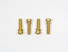 (4) 50CC Accelerator Pump Housing Cover Screws Fits: Holley 4150 4500 Carburetor New. Price: $11.99.