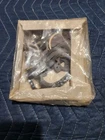 Walker 15181A Carburetor Rebuild Kit Rochester Bbl 2GC Bc 61-64 Buick Olds Chk New. Price: $20.46.