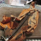Nos 1973 1974 Ford Gran Torino Elite Ranchero Montego 302 351 400 Throttle Cable New. Price: $149.99.