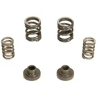 Bd Diesel 1040187 P7100 Governor Springs 3000RPM For Ram 2500/3500 94-98 5.9L... New. Price: $123.95.