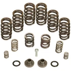 Bd Diesel 1040185 Governor Spring Kit For 1994-1998 Dodge 5.9L 12V Cummins P7100 New. Price: $254.95.