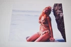 Raquel Welch Pinup 8X10 Glossy Photo One Million Years B.c. Busty Sexy 0726 Used. Price: $7.99.